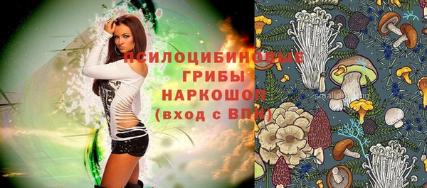 меф Дмитров