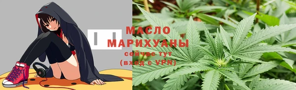 прущий лед Дмитриев