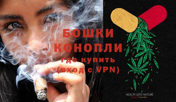 прущий лед Дмитриев