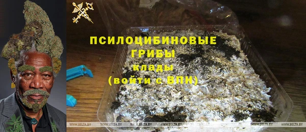 прущий лед Дмитриев