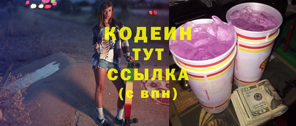 прущий лед Дмитриев