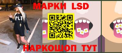 СК Волгодонск