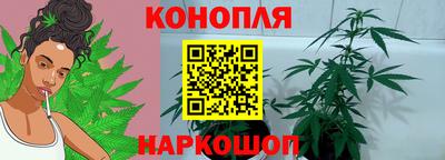СК Волгодонск