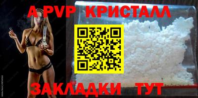 СК Волгодонск