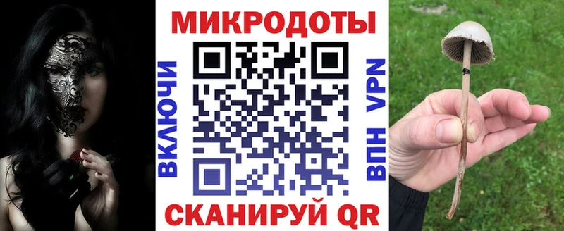 kraken зеркало  Избербаш  Псилоцибиновые грибы прущие грибы 