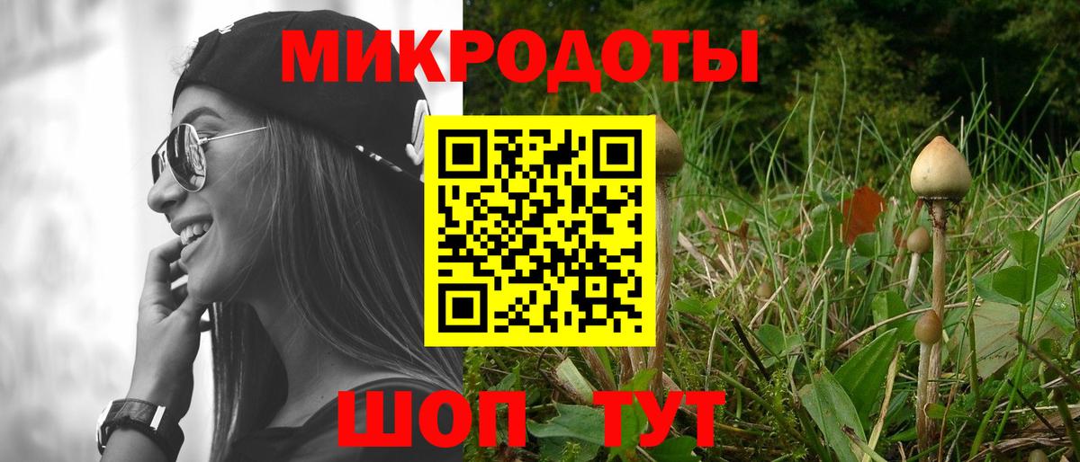 Избербаш  Псилоцибиновые грибы Magic Shrooms  Вход с VPN 