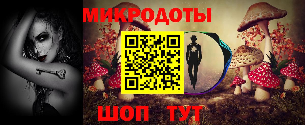 Галлюциногенные грибы прущие грибы Избербаш
