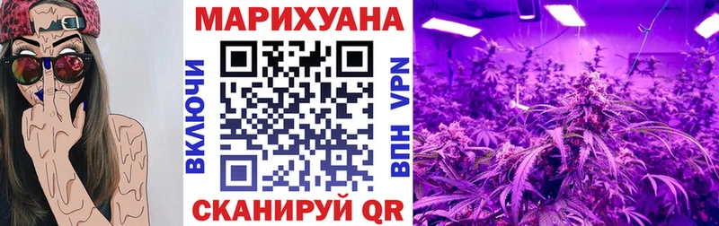 Марихуана планчик  купить закладку  Избербаш 